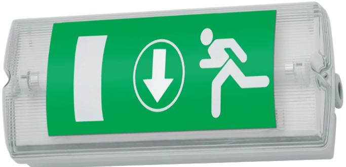 Рисунок1-no-bg-preview (carve.photos)